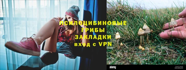 СК Аркадак